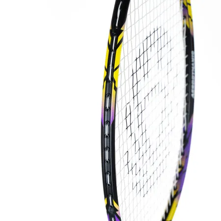 Ракетка бадм. TORRES Carbon PRO6, BD20521,для продв., стерж/обод из карбона,со струнами, фиол за 4&nbsp;477.80 ₽ купить в Томске