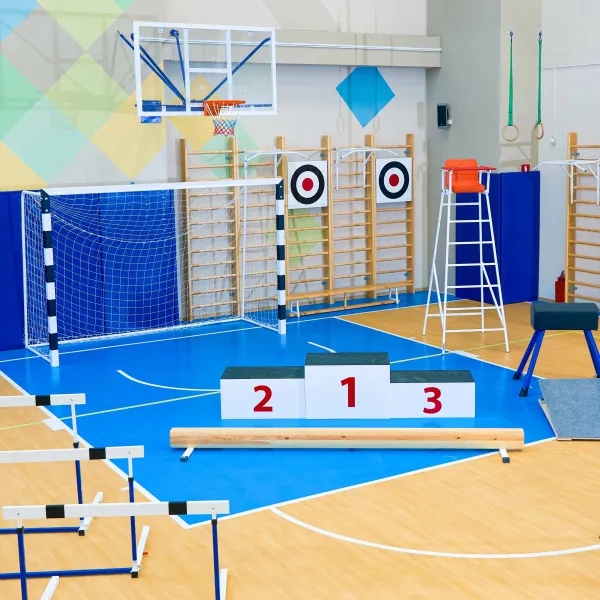 Щит для метания навесной на шведскую стенку (фанера) 700х700 ZAVODSPORTA за 8&nbsp;960 ₽ в Томске