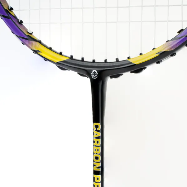 Ракетка бадм. TORRES Carbon PRO6, BD20521,для продв., стерж/обод из карбона,со струнами, фиол за 4&nbsp;477.80 ₽ в Томске
